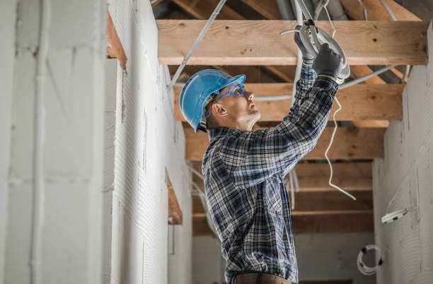 Best Electric Panel Repair  in Erwin, NC